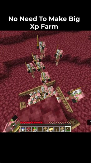 No Need To Make Xp Farm #usa