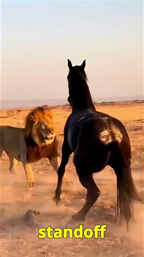 "Brave Horse Outsmarts a Hunting Lion!"
