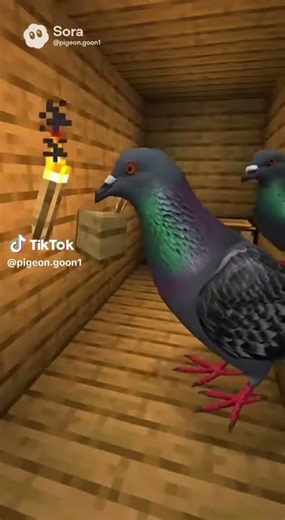 pigeon plays minecraft #pigeon #parrots