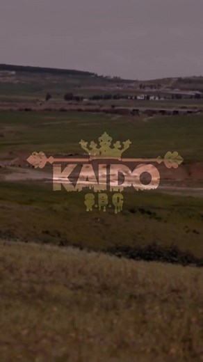 cheb bechir🎧🎶 #chebbachir #kaido_s #fyp #foryou #ya_azeme_dowar #lyrics