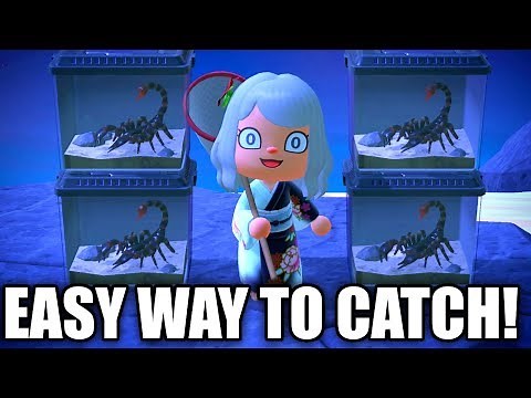 HOW TO Catch SCORPION EASY in Animal Crossing New Horizons