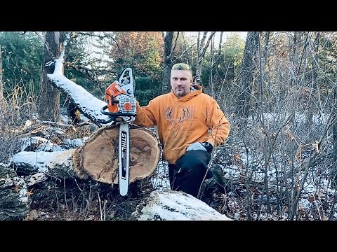 Stihl MS 500i - Skip Tooth Chain - 25" Bar