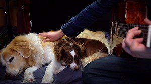 189K views · 10K reactions | Imagine by John Lennon w/ Maple & Cherry. Today's John Lennon's Birthday, October 9th | AcousticTrench | Facebook