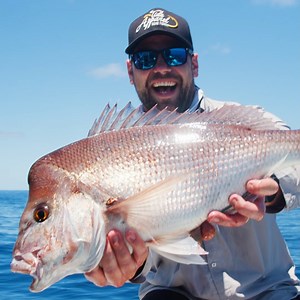 337 reactions · 13 comments | BCF is home to all of your favourite big name fishing brands!  Check out what's on offer today as part of our massive Fishuary Sale. There's deals on rods, reels, combos, lures & plenty more. PLUS - for a limited time only we are offering Free Delivery on ALL Lures‼ *Excludes Clearance. | BCF - Boating, Camping, Fishing | Facebook