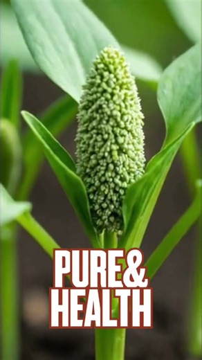 Super Ragi Millet Snacks for Super Kids! 🌾✨