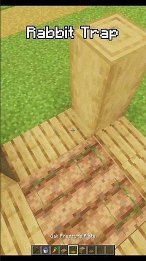 How to Make a Rabbit Trap in Minecraft 🐇 | Easy Tutorial
