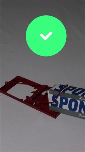 How Strong is a Mause Trap ? 😱😍😊🕯️🦯🧧