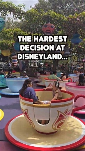 POV: The hardest decision at Disneyland 🫖🎩