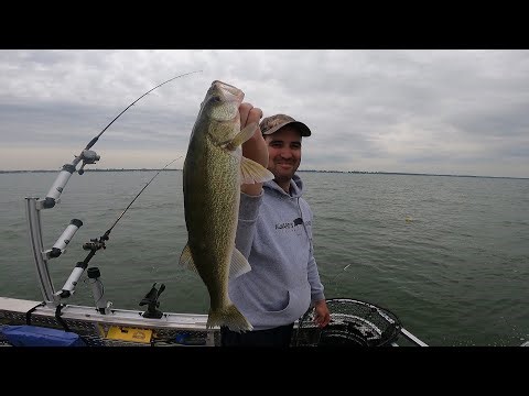 Saginaw Bay Walleye Fishing - Michigan (We almost LIMITED OUT!)