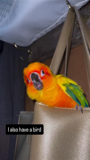 #explore | Dicky Siera