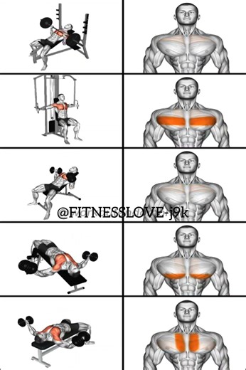 targeting different sections of the chest (pectoral muscles)using various exercises.#fitness#shorts