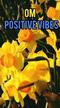 positive vibes music 🎵🎶 om#positivevibes #trending #nature