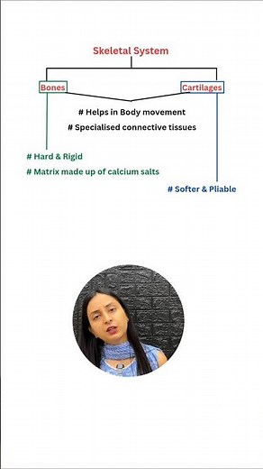 Skeletal System: Parts & Functions #shorts #ytshorts #biology #neet #class11 #study