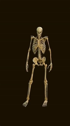 Happy Halloween Everyone! It's time for some spooky book recs. We got monsters, ghosts, and some creeping nature! #sowellcollection #halloween #bookrecommendations #horror #literature #community #nature #archive | The Sowell Family Collection in Literature, Community and the Natural World | Facebook