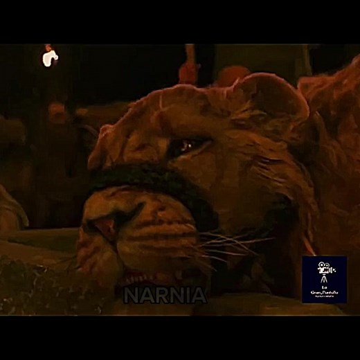 Cuentas recomendadas