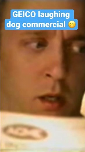 Geico Laughing Dog Commercials 🙂