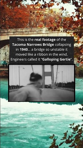 The Tacoma Bridge Collapse You Won’t Believe Was Real