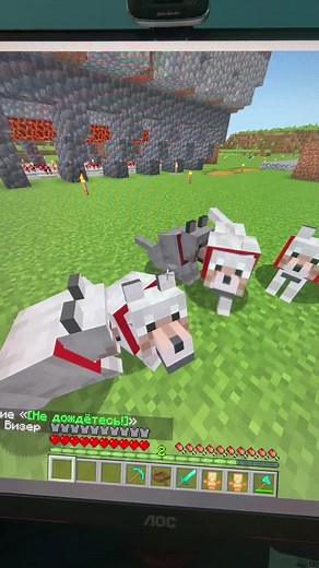 Exploring Sheep in Minecraft: A First-Person Perspective