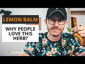 Lemon Balm (Melissa Officinalis) Benefits, Side Effects & Dosage