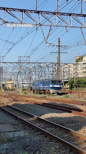 (貨物列車) 2025/06/18 8097レ EF210-120 単機 (根岸〜八王子) #Shorts