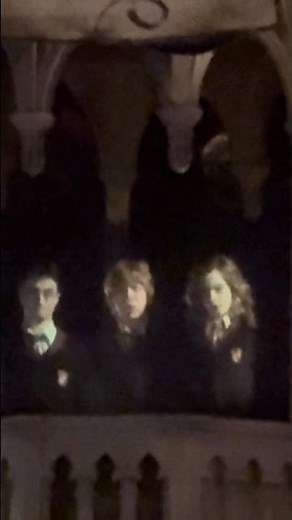 Harry Potter’s Forbidden Journey P.2 #harrypotter #ride #universal #queue
