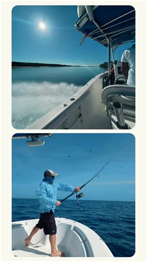 🌊 En Panama Pacific Fishing Charters vivimos la aventura al máximo. Aquí no solo vienes a pescar… ¡también te relajas, te desconectas y disfrutas de las aguas cristalinas del Pacífico! 🐠✨ El lugar más cool para una experiencia completa: pesca, diversión, descanso y momentos que se vuelven inolvidables. ✨ Vive tu próxima aventura con nosotros. #golfodechiriqui #fishing #diving | Panama Pacific Fishing