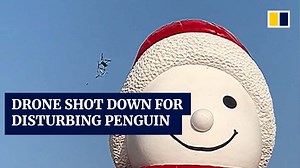 Drone shot down for disturbing penguin in China - The Global Herald