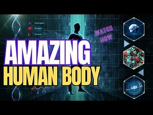 THE AMAZING HUMAN BODY