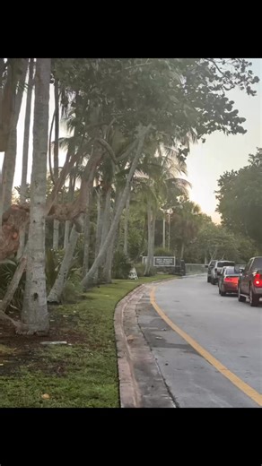 Bill Baggs Cape Florida National Park in Key Biscayne, Florida is incredible. You can see sold off fish right from the #boardwalk because the water is such #clearwater. The Bill Baggs Cape Lighthouse is also really cool! Highly recommend it! | Ana Maria Caputo