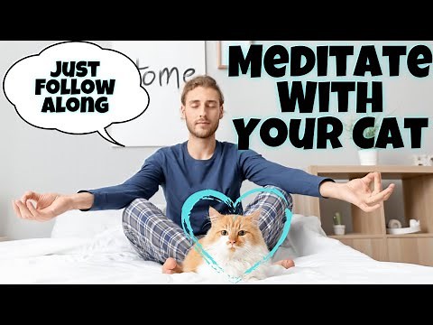 Guided Meditation With Your Cat - Relax & Bond With Your Feline Friend 🐈