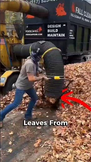 How Dry Leaves Are Turned Into Fuel | Biomass Pellet Machine Explained #bioenergy #stuble #shorts