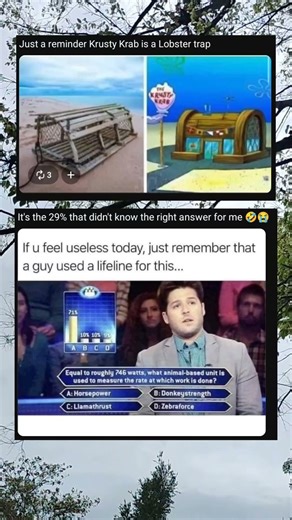 Is the Krusty Krab a Lobster Trap? Cartoon Fan Theory Explained 🧽🦞💡