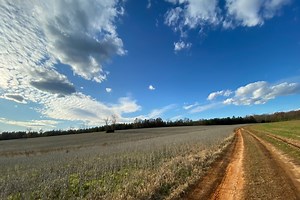 Who we are - Novi Energy