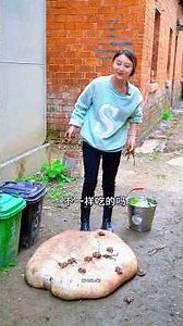 सड़ी ओझरी का 'धमाका ||🥩~mini wood toy / wood workingart skill / wood / hand crafts #ytshorts #shorts