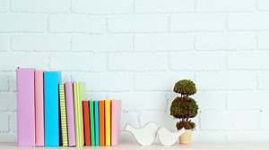 Zoom Office Background Instant Download, Home Office Virtual Background, Zoom Meeting Backdrop, Microsoft Teams Shelves Plants Background - Etsy