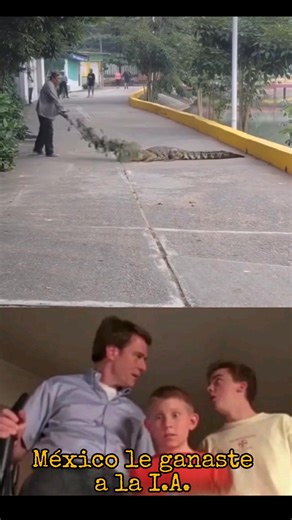 Esto paso en la Ciudad Isla, Veracruz y un hombre ahuyento a un cocodrilo que se encontraba en medio de la calle. El sujeto solamente cortó una rama de un árbol y comenzó a amedrentarlo con intención de asustar al cocodrilo y se fuera lo impresionante es que lo logró. (No se si es igual o supera el nivel del viejito australiano que asustó a un cocodrilo dándole de sartenazos) | Dragon Fire