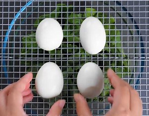 308K views · 840 reactions | Quick & easy cooking tricks for you to try! | 5-Minute Crafts | Facebook