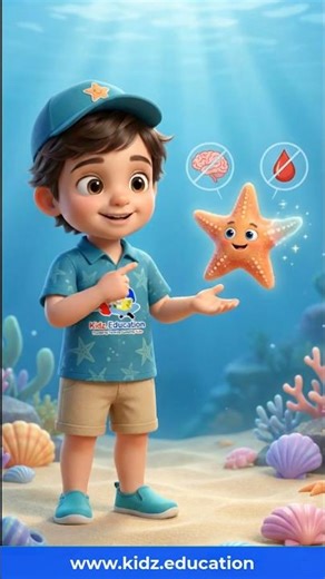 The Secret Superpower of the Starfish Revealed | Kidz Education English