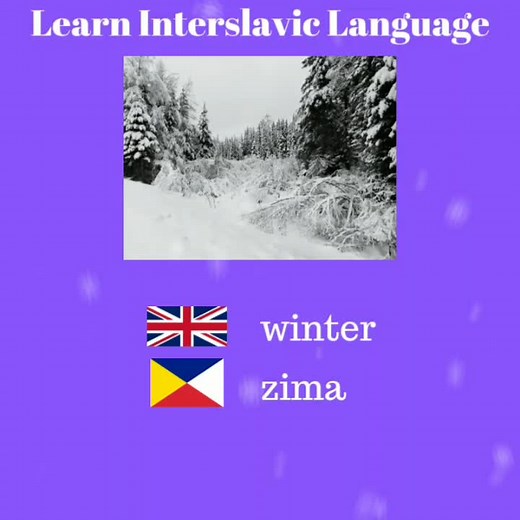 #interslavic #learninterslavic #interslaviclanguage #newlanguage #learnlanguages #learnlanguage #foreignlanguage #slav #slavic #winter #zima #snow