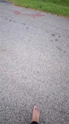 Frequency444 (@frequency444invert)’s videos with Welcome To The Store (STEM pad) - Homegrown / BMGPM