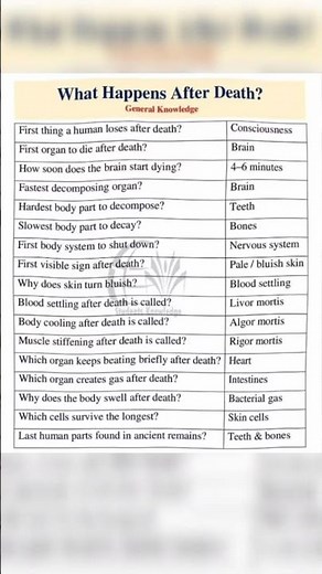 The Body Doesn't Stop Immediately After Death!😳