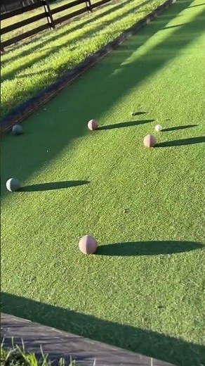 Playing bocce ball