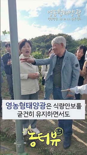 하늘에서 돈이?!💴ㅣ[농터뷰] 영농형 태양광 편