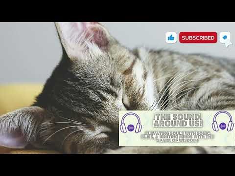 Sleep Peacefully with Gentle, Relaxing Sounds