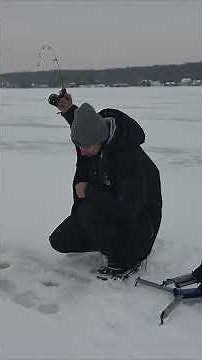 That pike bite was INSANE #fishing #icefishing #pike