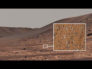 Alien Life Signs fossils on Mars found by NASA's Perseverance Rover. First Alien Bio-Signature in 4K