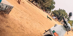 Welcome to the cursed magical lands