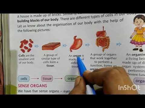 Class 3 our body a wonderful machine ( part -1)