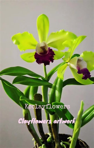 KCclayflowers on TikTok