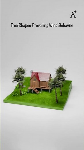 How Tree Shapes Indicate Prevailing Wind Direction